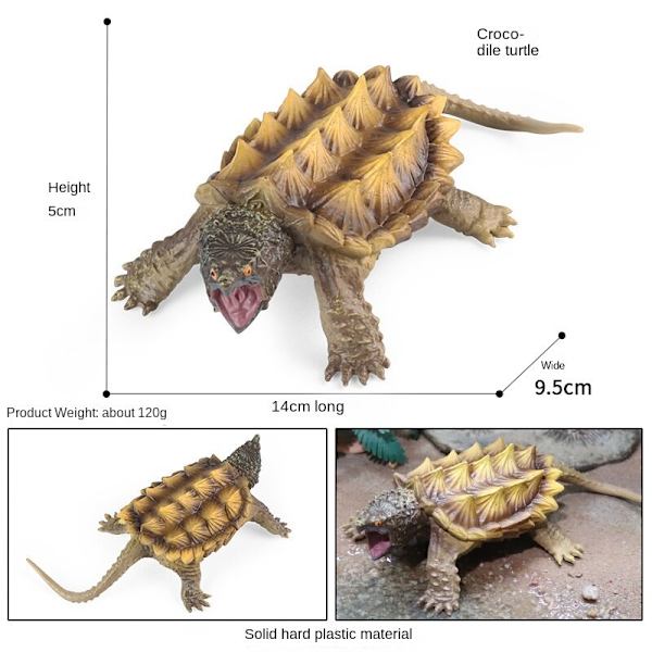 Sötvattensdjur Krokodil Alligatorsköldpadda Sköldpadda Barns Vetenskap och Utbildning Kognitiv Biologisk Modell Leksak Dekoration M-2534 snapping turtle