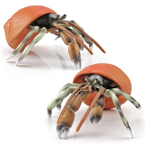 Simuleringsmodel af havdyr, eremitkrebs, nautilus, akvariumpynt, figurer, actionfigurer, børns pædagogiske legetøjsgave A