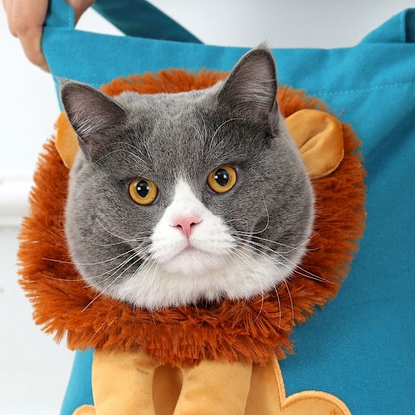 Mjuka Djurbärväskor Lejon Design Bärbar Andningsbar Väska Katt Hund Bärväskor Utgående Resor Husdjur Handväska Med Säkerhetsdragkedjor only bag 40x35cm-in 4kg