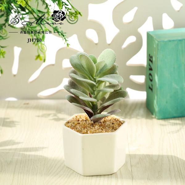 Konstgjord Suckulent Växt Bonsai (Kruka Ingår) Konstgjord Blomma Kreativ Dekoration Konstgjord Växt Small smiling Lotus flocking Red