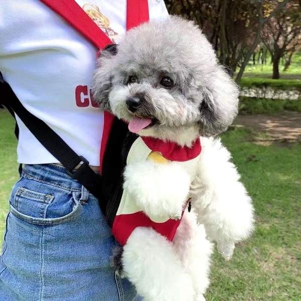 Denim Åndbar Transporttaske til Små Hunde Katte Rejse Hvalp Hund Kat Rygsæk Yorkshire Shih Tzu mascotas Bæretilbehør 2 XXL-suit 6.5-8kg
