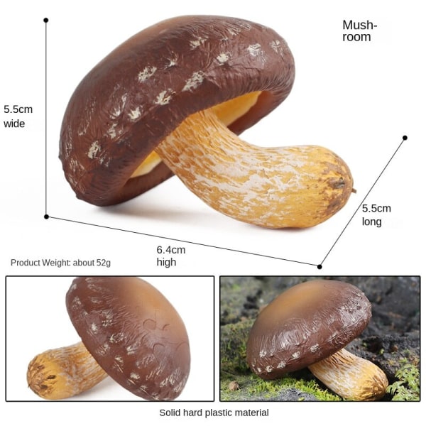 19 st/ set Svampmodell Grönsaksrekvisita Barnpussel Leksak Dekoration Dekoration Scen rekvisita M-2129 real mushroom