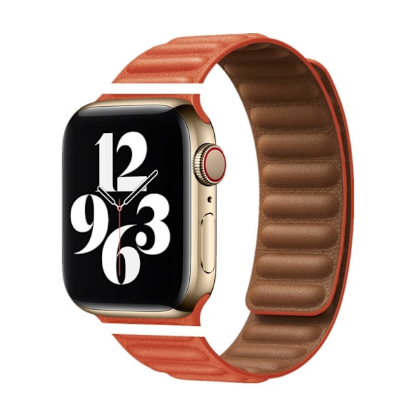 Klockarmband för Apple Watch iWatch 38/40/41/42mm-S10 Läder Magnetisk Sug-19 Danxia