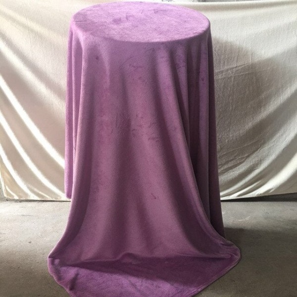 Mjuk varm korallfleecefilt Vinterlakan Sängöverkast Soffa 230Gsm 8 Storlek Lätt Tunn Mekanisk Tvätt Flanellfiltar Light purple 120x200cm