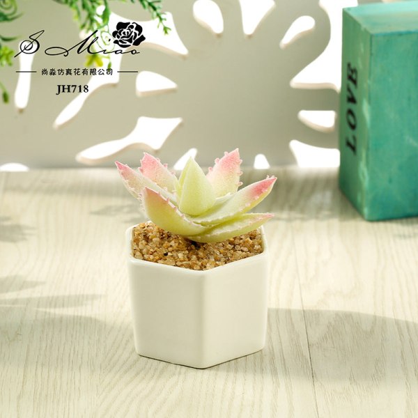Kunstig sukkulent plante bonsai (potte inkluderet) Kunstig blomst kreativ dekoration kunstig plante Aloe flocking White