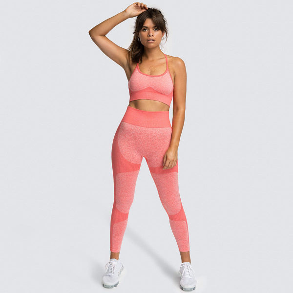 Europæisk og amerikansk hurtigtørrende yoga vestdragt, professionel sports løbe sømløs trænings-BH og cropped bukser sæt 9154AB bra set-medium gray S
