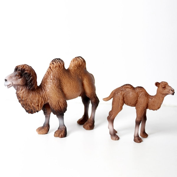 Vilde dyremodeller realistisk håndmalet agerhøne, æsler, kameler, elg legetøj jule fødselsdagsgaver til børn bactrian camel3