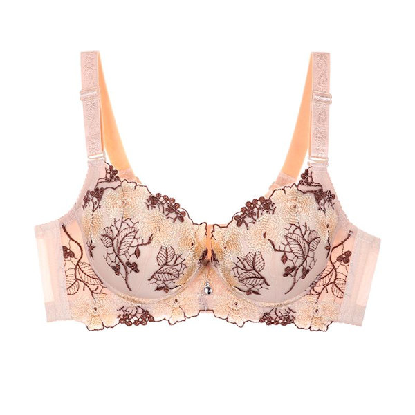 Klassisk Kineseri Broderi BH Stor Storlek Push Up BH Förtjockad Bröstkudde Underkläder BC Kupa Beige 38/85