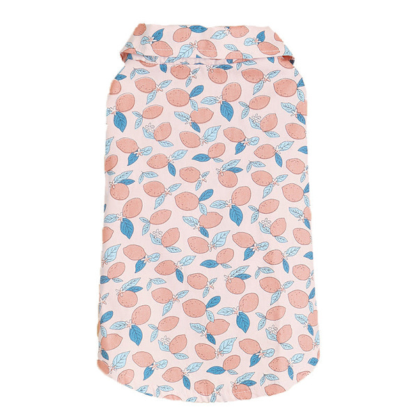 Kæledyrstøj Hundeskjorte Sommer Frugtprintet Multicolor XL