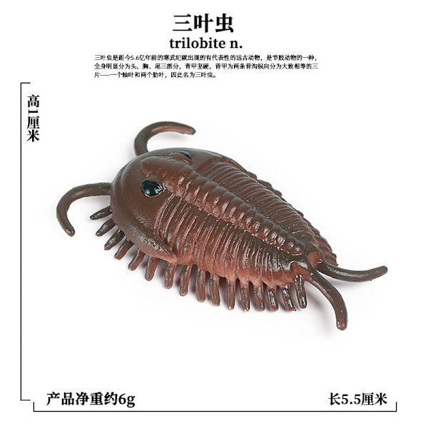 Marin Djurmodell Förhistorisk Trilobit Räka Krysantemum och Sten Kambrisk Nautilidae Plattfot Krabba Barn Pedagogisk Leksaksmodell Mini trilobite