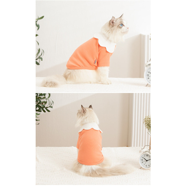 Kevät- ja syyslemmikkivaatteet kukkakauluksella, kissan vaatteet Orange XL