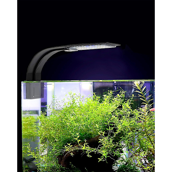 Erittäin pieni LED-lamppu pienille akvaarioille, Mini-akvaarion kiinnikevalot 24 valkoisella LEDillä 30-40 cm:n suurille akvaarioille, 10 W (musta)