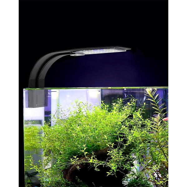 Ultratunn LED-lampa för små akvarier, miniklämma på akvarielampor med 24 vita lysdioder för 30-40 cm stora akvarier, 10 W (svart)