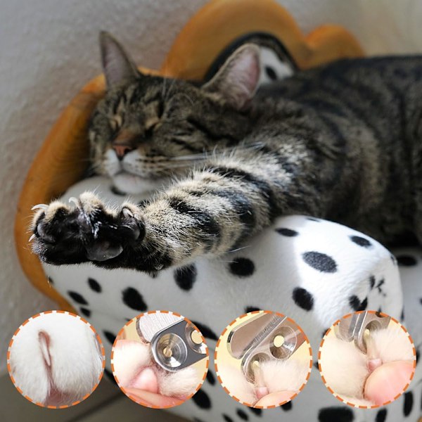 Kattnagelklippare, professionella nagelklippare för husdjur, säkra klosaxar för katter med positioneringshål, verktyg för att trimma husdjursklor