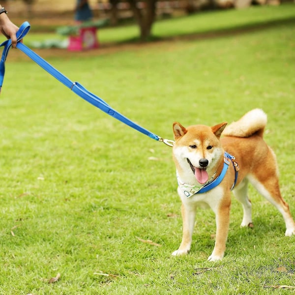 Veeki Classic Dubbelhandtag Hundkoppel Ungefär 4,9 tum Långt och 1,3 cm brett, kraftigt vadderat nylon för promenadträning små till medelstora hundar, Matchi
