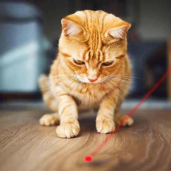 USB Genopladelig LED Pointer Katte Hunde Legetøj Kæledyr LED Lys Pointer