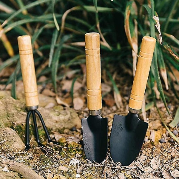 10 stk hageplanteverktøysett for bonsai, sukkulenter, urter, terrarier og planting