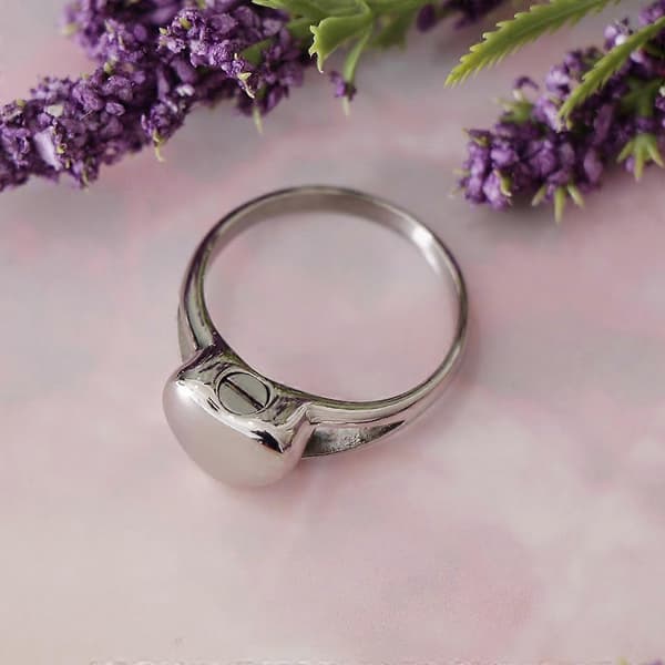 Titanium Stål, Hjerte Minnering Urne Aske Ring-Charm Kremasjon US 10