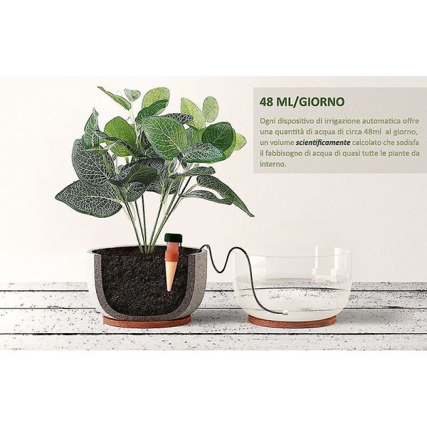 Automatiske vandingsonder til indendørs planter - praktisk og hjemmesystem med praktiske valg - 10 stk