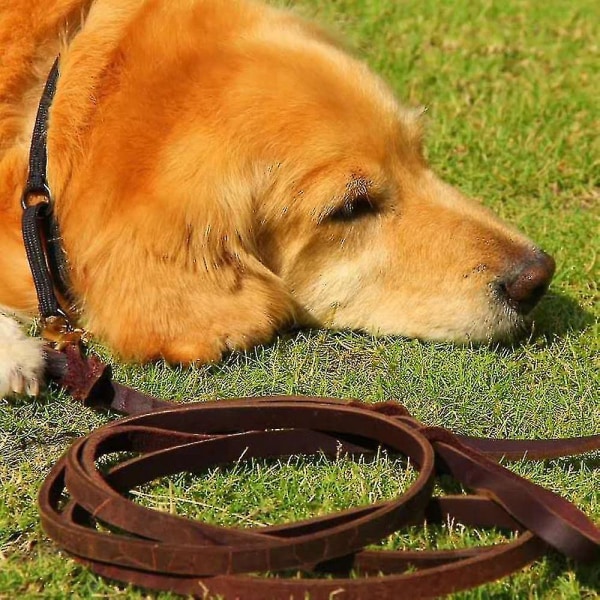 Mellemstor læderhundesnor - holdbar, blød og behagelig flettet lædersnor velegnet til hundetræning til mellemstore og små hunde