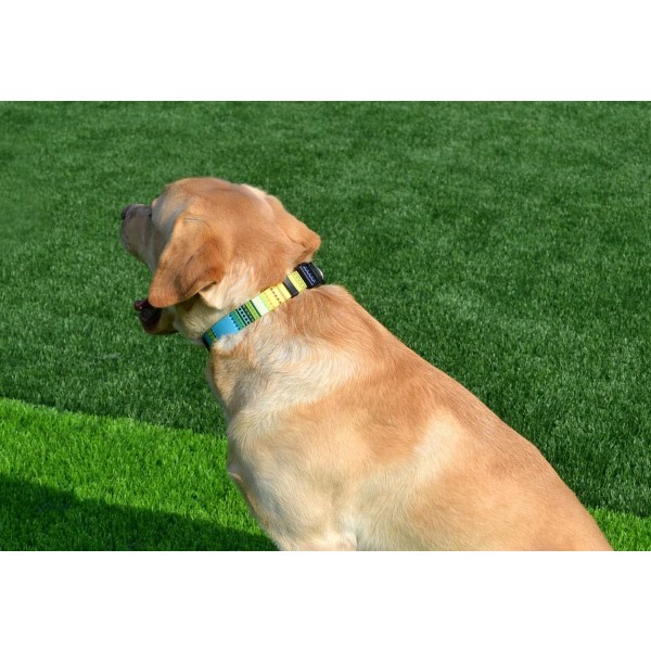 Koiran kaulapanta suurille koirille, söpö pieni keskikokoinen koiran lemmikkipanta, Bohemia Tribal geometrisilla kuvioilla, pehmeä säädettävä (Bohemian Yellow, L)