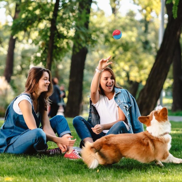 Hundboll, 6-pack gummiballar för hundar, hundbollständer rengöring tuggleksaker, hundbollar oförstörbara och solida gummiballar för hundar för lek, träning