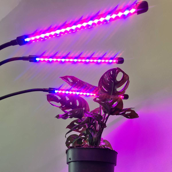 Justerbart LED-lys - Timer Svart - For planter