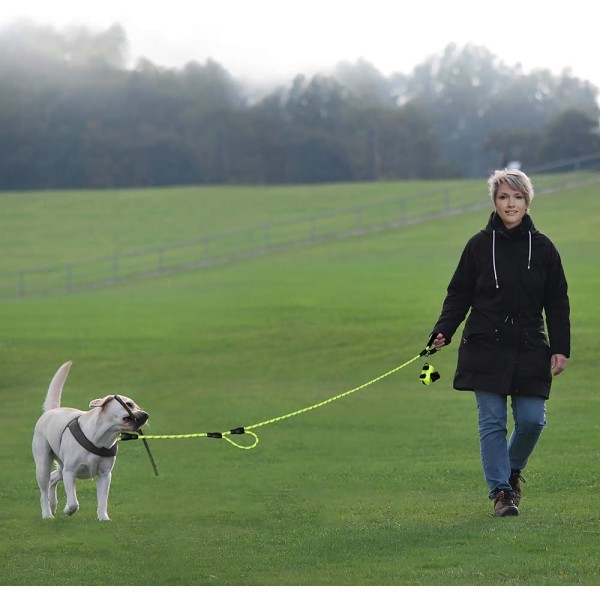 Sterkt tau til hundebånd 6 fot langt med to polstrede håndtak, kraftig, reflekterende dobbelhåndtaks treningsbånd for store hunder eller mellomstore hunder (grønn)