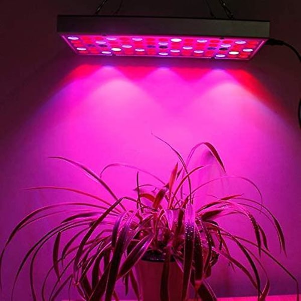 45w 25w Led Grow Light Panel Röd Blå Vit Ir Uv Led Grow Light. Fullt spektrum för hydroponisk växthusodling