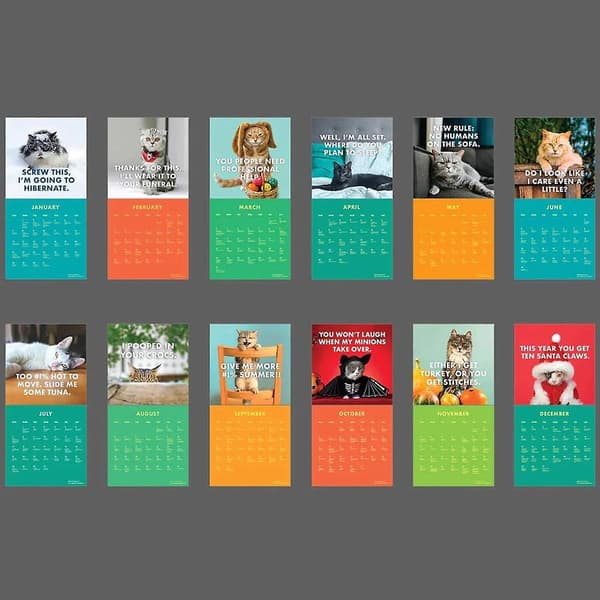 2024 Sure Katte Kalender, Gave Til Katteelskere