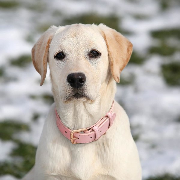 Koiran kaulapanta pienelle keskikokoiselle suurelle koiralle säädettävä pehmeä hengittävä nahkainen pehmustettu pentupanta Heavy Duty vedenpitävä klassinen koiran lemmikkipanta, vaaleanpunainen, M