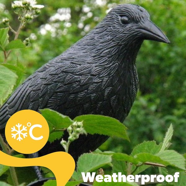 Plast Black Raven, 39 x 24 cm, duvmedel med hängkrok, trädgårdsfågelskrämmare med stativ, effektivt fågelavskräckande medel för balkong