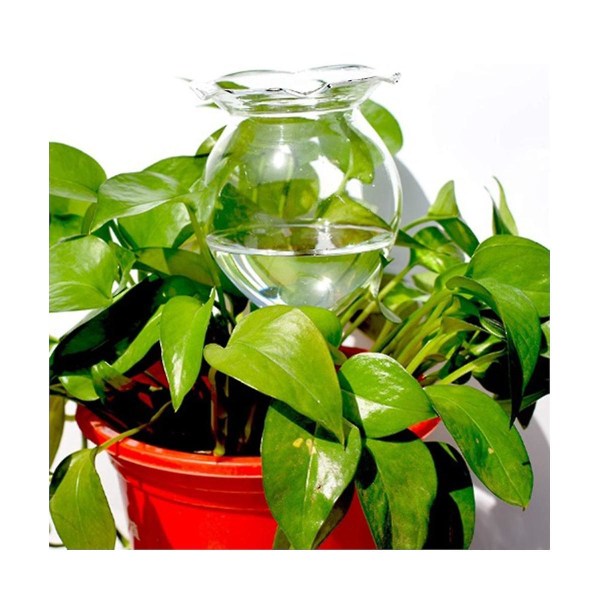 6st växtvattnare självbevattningsglob självbevattning handblåst klart glas växtvattenlampa för in