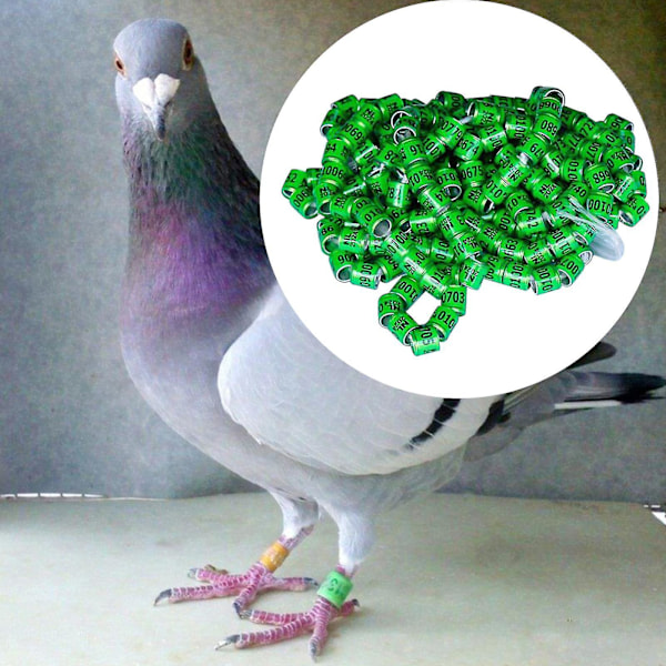 100 st Pigeon Dove Benringar 2024 Identifiera Band Birds Fot Ring Liten Storlek Lätt Återanvändbar Ljusa Färger Och Nummer Identifiera Ring-C