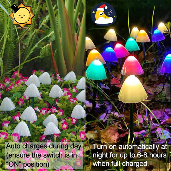 Solar String Lights Outdoor Decor-IP44 Waterproof 24 FT Solar Powered Mushroom Bean Solar Lights for Patio, Garden, Lawn, Patio