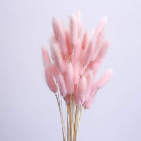 1 nippu / 60 kpl kuivattuja luonnonkukkia koristelu Pampasruoho Kaninhäntäruoho kotijuhlakoristeisiin (vaaleanpunainen)