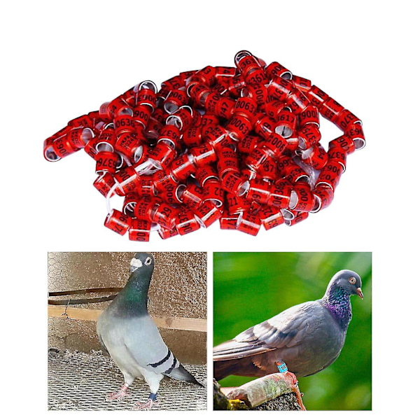 100 st Pigeon Dove Benringar 2024 Identifiera Band Fåglar Fot Ring Liten Storlek Lätt Återanvändbar Ljusa Färger Och Nummer Identifiera Ring-f