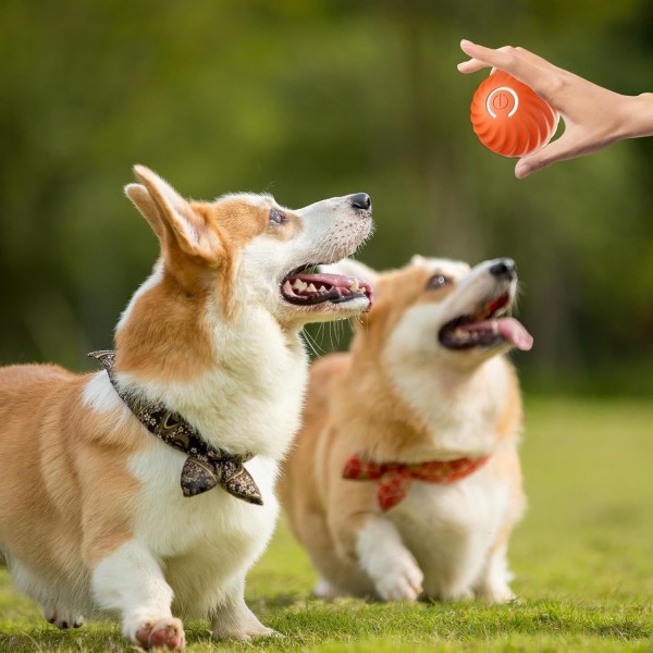 Selvrullende Bold til Hunde, Smart Selvbevægelig Bold med 2 Tilstande Lang Batterilevetid, Ny Elektrisk Intelligent Drillerbold til Katte med Udskiftelig Skal Orange