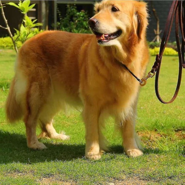 Hundkoppel i medelstort läder Slitstarkt, mjukt och bekvämt flätat läderkoppel Lämpligt för hundträning för medelstora och små hundar