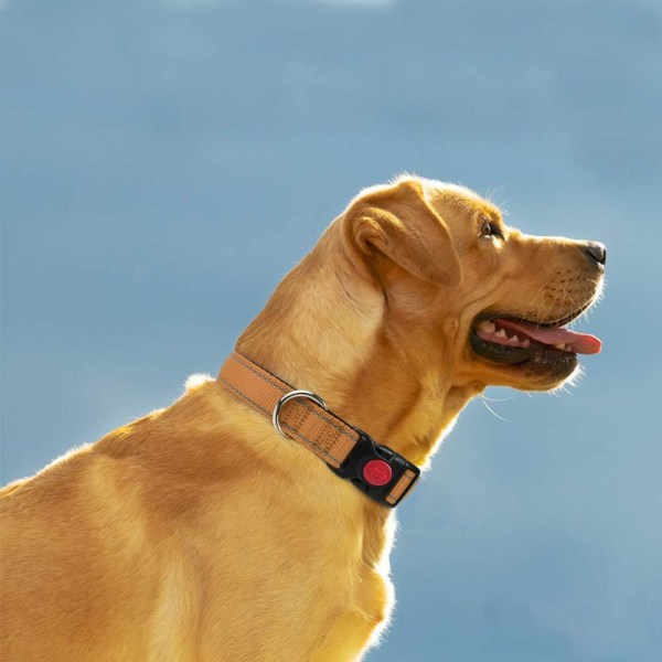 Heijastava nylon koiranpanta turvasoljella, säädettävät lemmikkipantat pehmeällä neopreenipehmusteella suurille koirille, rusketus