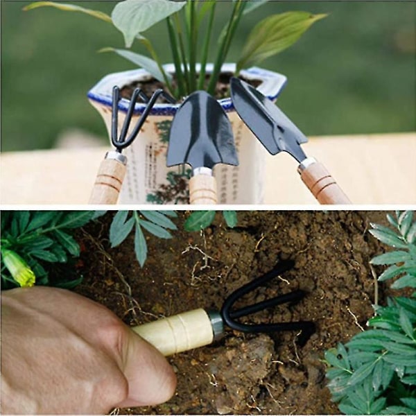10 stk hageplanteverktøysett for bonsai, sukkulenter, urter, terrarier og planting