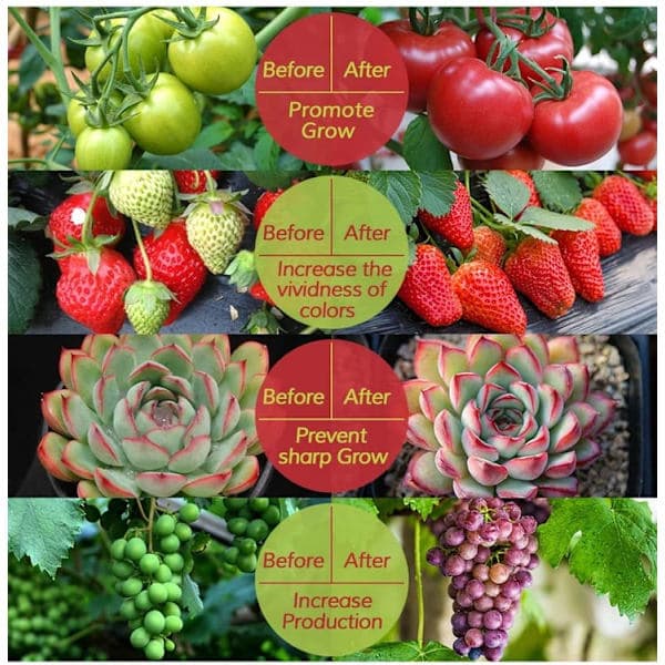 Full Spectrum USB LED Vekstlys – Kuttbart, Drivhus – Egnet for Små Planter 3m 3m 3m