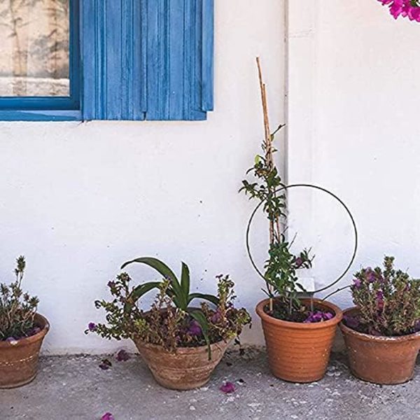 Plante klatre-ramme, Metal Potteplante Spalier, Støttetråd Dekorativ Holder Stativ til Hjemmehave Potteplanter Blomster Indendørs