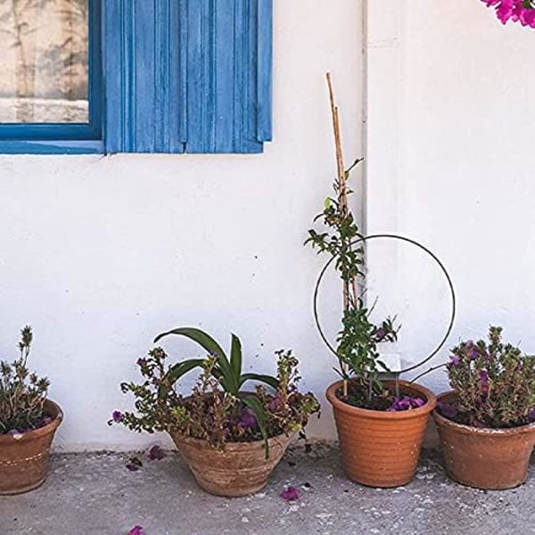 Växtklätterställning, krukväxtspaljé i metall, dekorativt hållarställ för stödtråd för krukväxter i trädgården Blommor inomhus