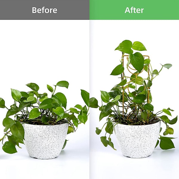 2 stk. Metal Plant Trellis til klatreplanter indendørs, 14 tommer Trellis til potteplanter, fasehus