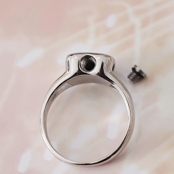 Titanium Stål, Hjerte Minnering Urne Aske Ring-Charm Kremasjon US 10