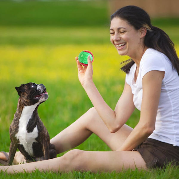 Hunde Ball, 6 Pack Gummibälle für Hunde, Hundeball Zähne Reinigung Kauspielzeug, Hundebälle Unzerstörbar und Solide Gummibälle für Hunde zum Spielen, Training