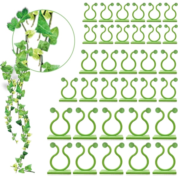 100PCS Plant Support Wall Vine Plant Climbing Fixer Self-Adhesive Hook Vines Holder Invisible Traction Wall Sticky Fixture Clips (100 clip green)