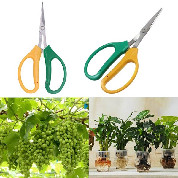 Trädgårdssax för knopptrimning, rakblad, 2024 Shar Straight head 1pcs