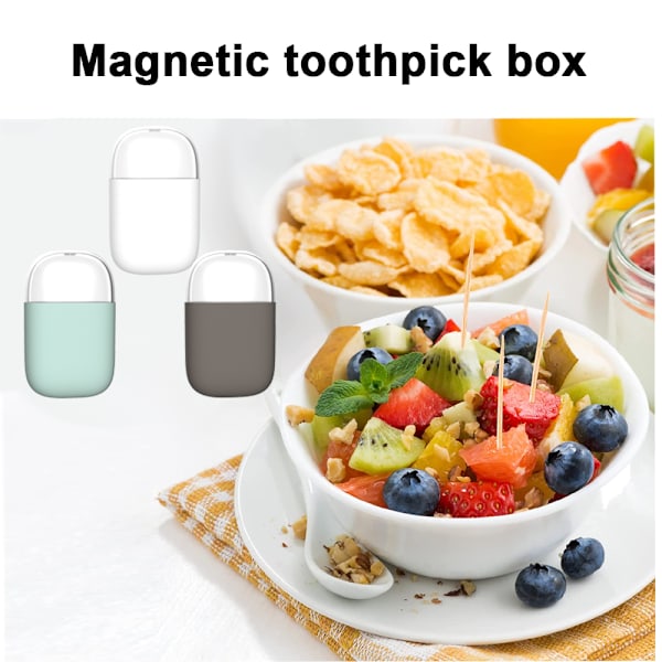 Magnetisk tandpetarehållare för kylskåp Mikrovågsugn .Tandpetare för hushållsbord